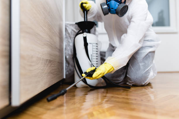 Byram, CT Pest Control Company