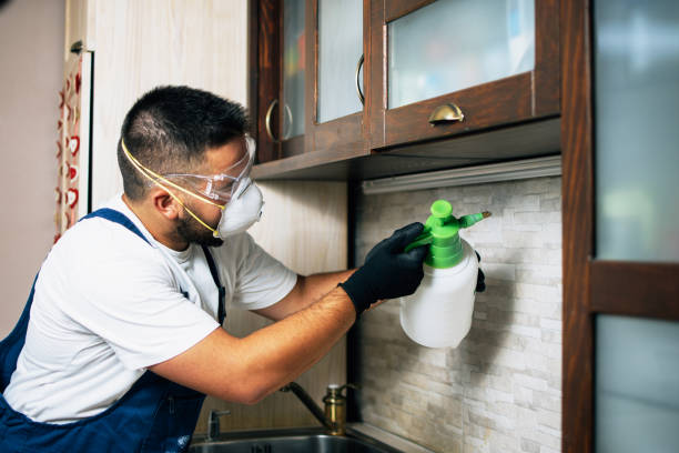 Best Affordable Pest Control Services  in Byram, CT