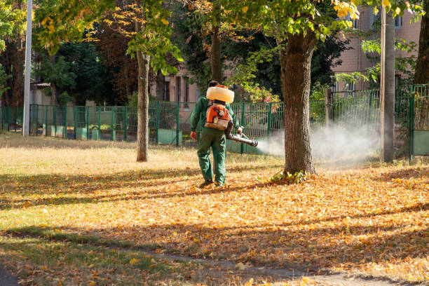 Best Residential Pest Control  in Byram, CT