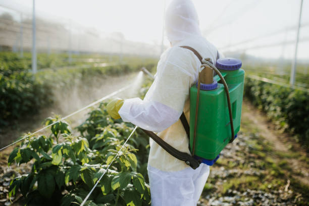 Best Affordable Pest Control Services  in Byram, CT